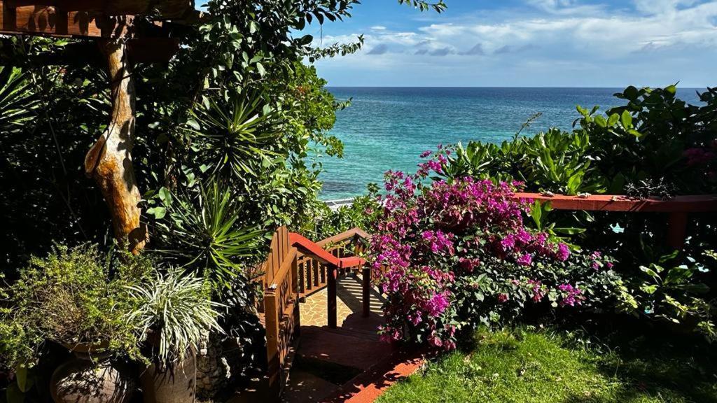 Blue Raven Resort Anda  Eksteriør bilde