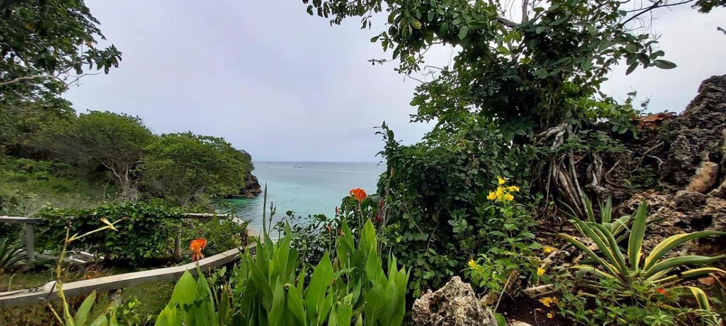 Blue Raven Resort Anda  Eksteriør bilde